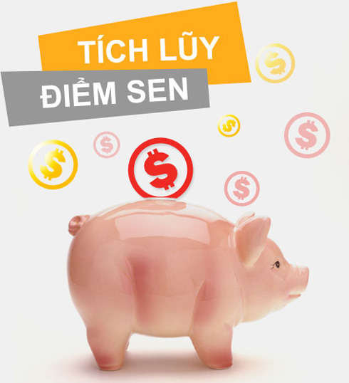 Cách tính điểm uy tín/điểm tích lũy cho shop trên Sendo 