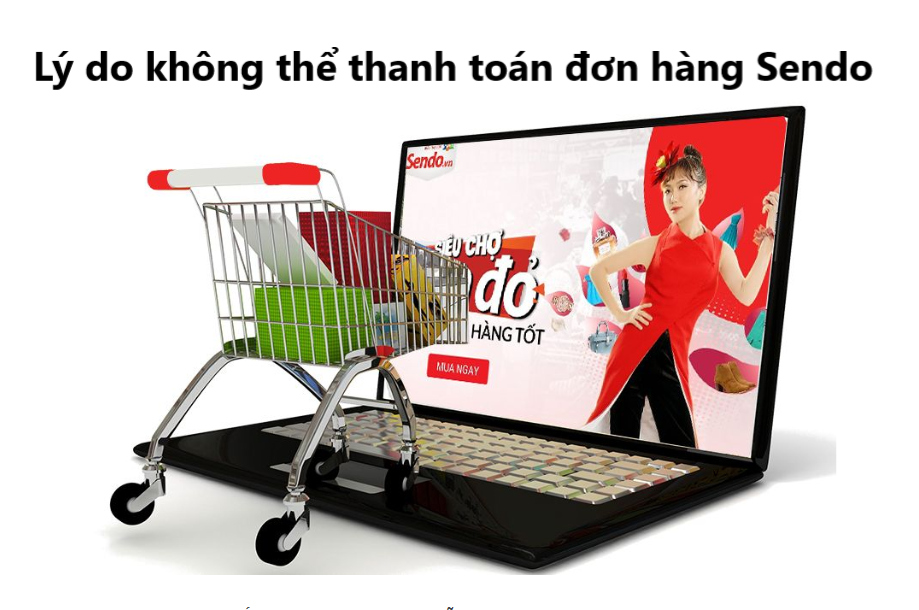 Tìm hiểu lý do không thể thanh toán đơn hàng trên Sendo 