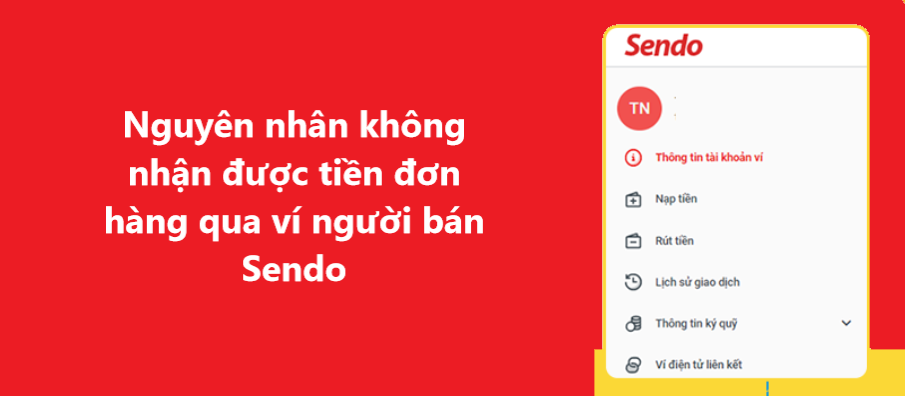 Nguyên nhân không nhận được tiền đơn hàng hoàn tất qua ví người bán trên Sendo 
